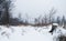 Winter landscape with untouched snow sheet.