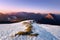 Winter landscape with Urkiola mountains and snow