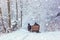 Winter landscape - view of the snowy road with with a horse sleigh