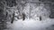 Winter landscape - view of the snowy road with a walking hiker in the winter mountain forest after snowfall