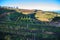 Winter landscape with view on terraced vineyards located above clouds level on mountains slopes near village Puntagorda, north