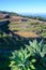 Winter landscape with view on terraced vineyards located above clouds level on mountains slopes near village Puntagorda, north