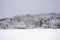 Winter landscape in village Urdorf in Switzerland. Trees and bushes in the background are heavily covered with snow.