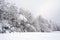 Winter landscape in village Urdorf in Switzerland. Trees and bushes in the background with a lot of copy space.