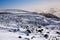 Winter landscape on the volcano Etna with trek and tourists