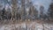 Winter Landscape, White Snow-Covered Field