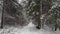 Winter Landscape, White Snow-Covered Field