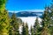 Winter landscape, white snow covering a big frozen lake, forests full of green pine trees.