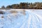 Winter landscape. Winter country road in the background of the forest. Traces of cars