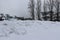 Winter landscape. Winter ground and trees covered with snow