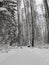 Winter landscape. Wooden boardwalk covered with snow. Outside walk in the forest