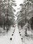 Winter landscape. Wooden boardwalk covered with snow. Outside walk in the forest