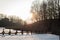 Winter landscape with a wooden bridge crossing a lake surrounded by reeds