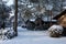 Winter landscape with wooden houses, trees and bushes in morning