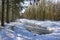 Winter landscape with woodland and canal, covered with snow