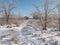 Winter landscapes of the snowy nature of the Zaporozhye forests on the banks of the Dnieper.