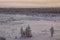 Winter landskape with forest in snow in the evening sunset. North