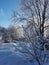 Winter lawn on a Sunny day in the suburbs of St. Petersburg.