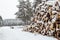 Winter logging in the snow forest. Stock of timber under the snow