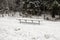 . Winter, a lot of snow. Forest and bench abandoned by snow
