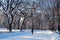 Winter on the Mall, Central Park, New York
