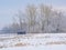 Winter marsh landscape covered in snow with bare trees and a birdt watching hut