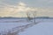 Winter marsh landscape covered in snow with bare trees on a cloudy evening sky