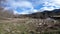 Winter meadow in the Pyrenees, France