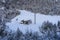 In winter the meadows and trees are all covered in snow in Trentino