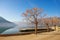 Winter Mediterranean landscape with Chinaberry trees