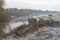 Winter mists and frost on Sprotbrough Flash, at the dawn of Advent.