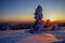 Winter mood on the Feldberg in the Black Forest