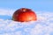 Winter mood: a red ripe apple lies on the snow in the sun, shadows from objects, close-up