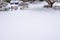 Winter morning, driveway, garden, and street covered in fresh snowfall