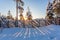 Winter morning in Finland countryside