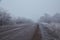 Winter morning with frosted trees, foggy atmosphere, and a disappearing asphalt road