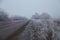 Winter morning with frosted trees, foggy atmosphere, and a disappearing asphalt road