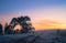 A winter morning landscape in Mulligans Flat Nature Reserve, Australian Capital Territory