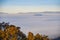 A winter morning landscape in Mulligans Flat Nature Reserve, Australian Capital Territory