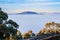 A winter morning landscape in Mulligans Flat Nature Reserve, Australian Capital Territory