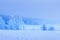 Winter morning landscape. Snowy trees on white meadow. Amazing calm scene with frosty trees covered hoarfrost. Christmas