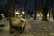 Winter morning in the Mariinsky park. Walking in the winter park along the empty curved alley with benches and lanterns