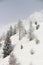 Winter mountain forest in Soelden