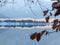 Winter Mountain Lake Reflection Bohinj Slovenia