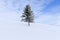 Winter mountain landscape with blue sky and snowy tree. Silesian Beskids, Poland