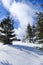 Winter mountain landscape with blue sky and snowy trees. Silesian Beskids, Poland