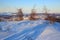 Winter mountain landscape. Larch on a snowy slope.