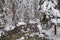 Winter mountain river in snow. Rohace - Spalena valley, Slovakia