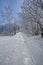 Winter mountain shelter landscape