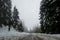 Winter in the mountains, beautiful snow-covered road with no cars, snowy trees and white sky